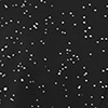 Black Diamond